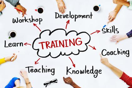 Diverse People and Training Concepts